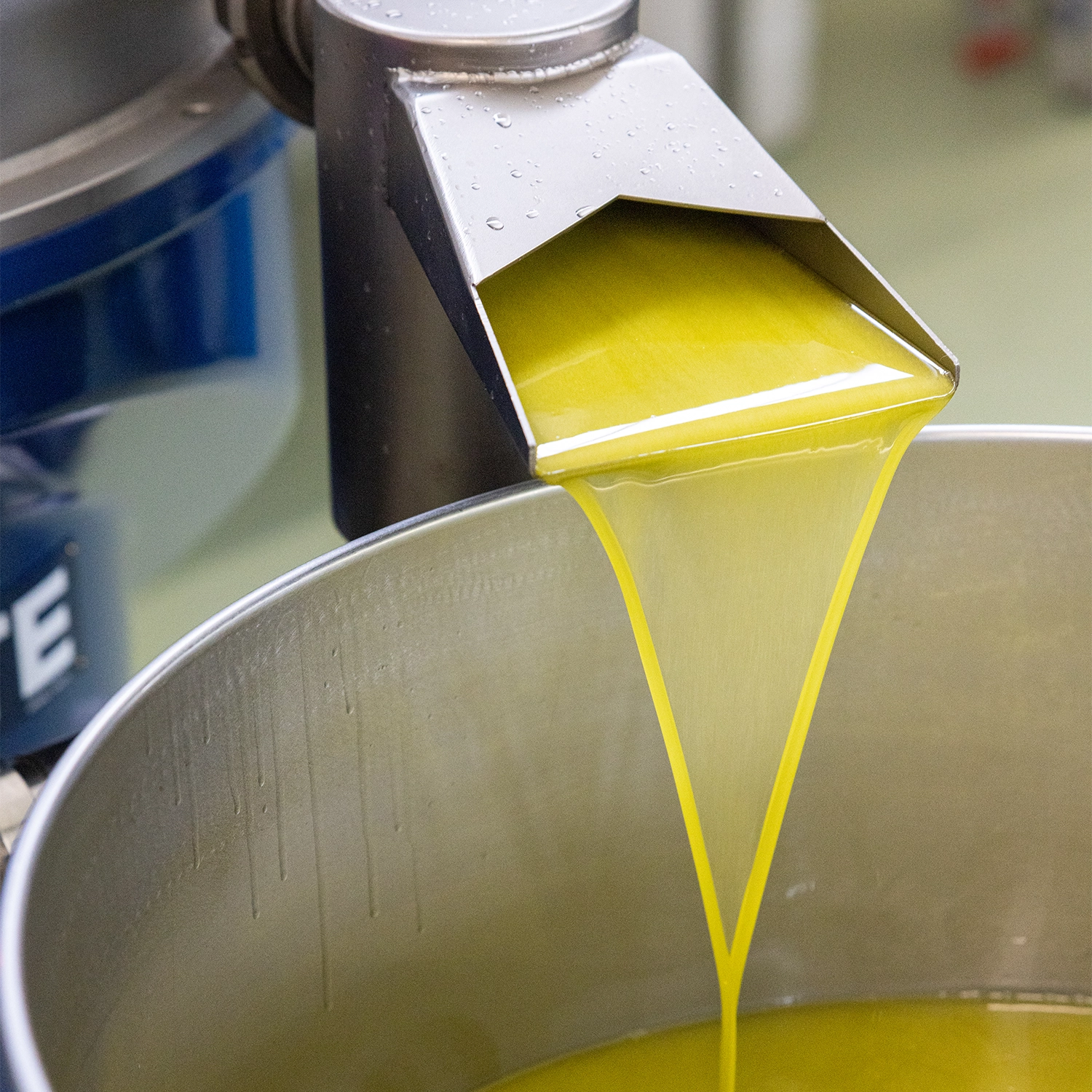 linea_classica_multivarietale-1