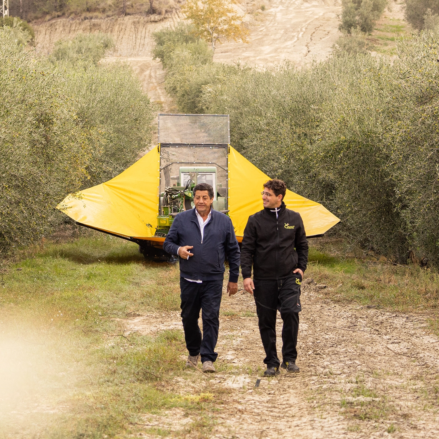 linea_classica_multivarietale-2