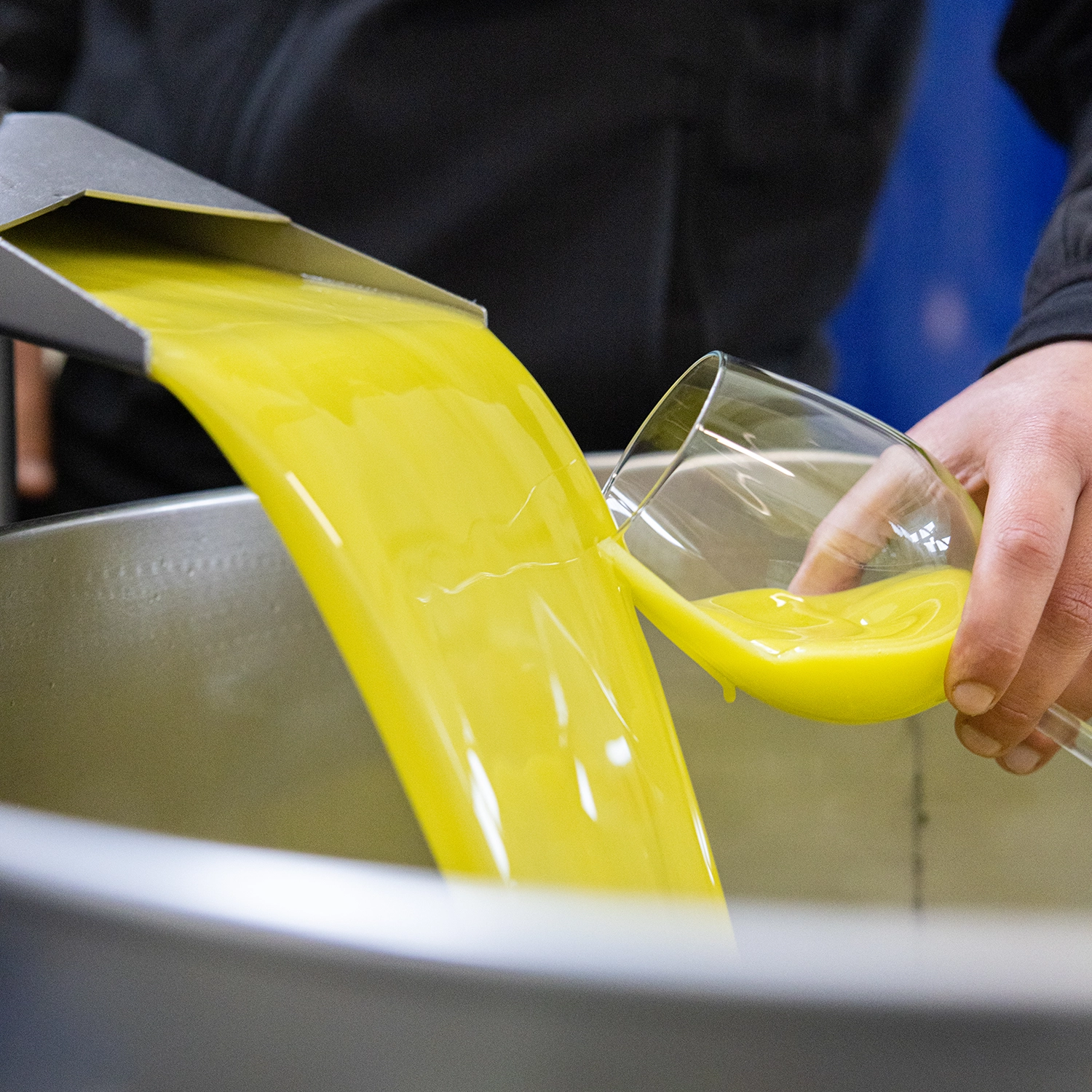 linea_classica_multivarietale